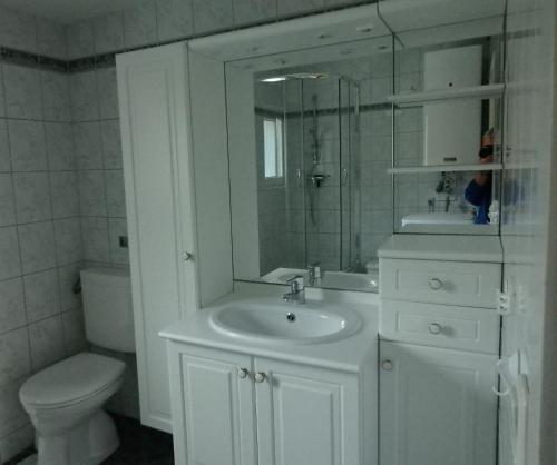 Ferienwohnung Schmidt in Ebensee