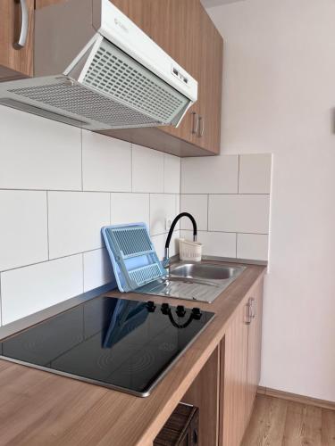 virtuve, Apartment Vista in Brest pod Učkom