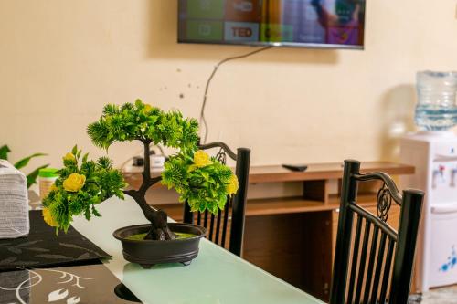 Furnished Cozy One Bedroom Apartment in Busia