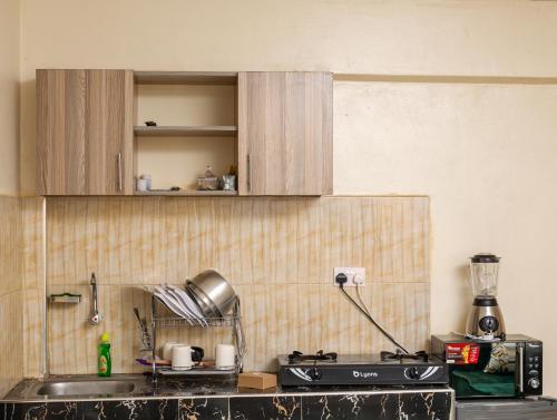 Furnished Cozy One Bedroom Apartment in Busia