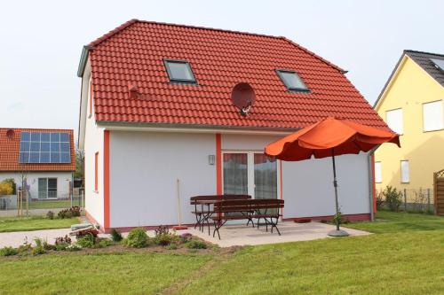 Akelei in Rerik, Deutschland