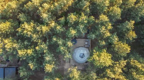 Вид, Kamieńczyk Glamp - pod Warszawą (Kamienczyk Glamp - pod Warszawa) in Вишкув