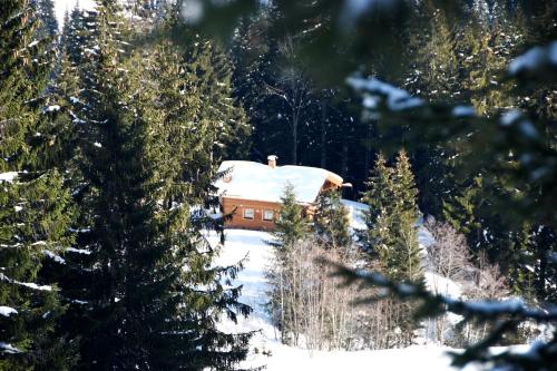 Haberlhütte - main image
