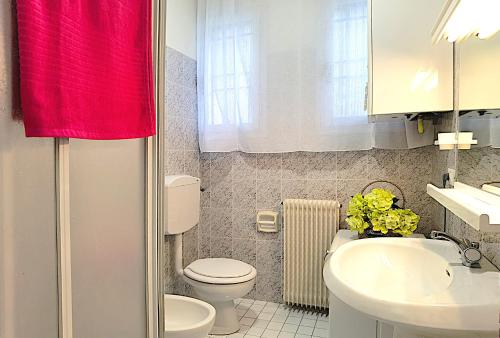 One-Bedroom Apartment image 7