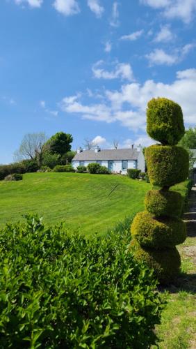 New Listing - Ladybird Cottage - Donegal - Wild Atlantic Way - Doonin
