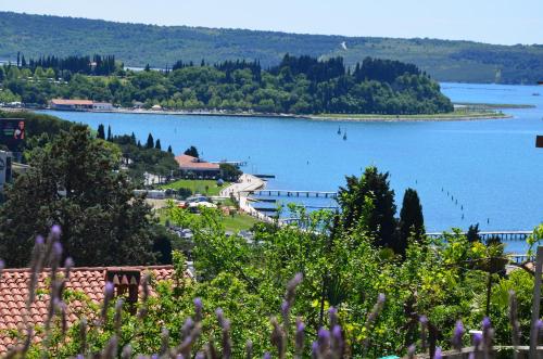 Apartments Portorose