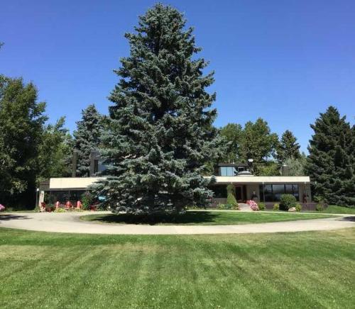 . Lake front acreage near Waterton Lake National Park