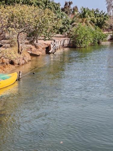 Mboss Dor in Palmarin