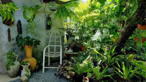 Marius B&B & Hostel Room Type - Deluxe Double Room with Bath