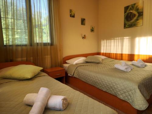 1 king bed, 1 twin bed