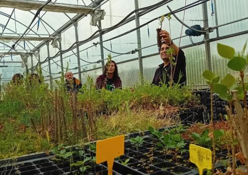 Programlehetőségek, Apartamento Rural Dehesa de Solanillos in Ablanque