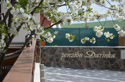 Penzión Darinka - image 10