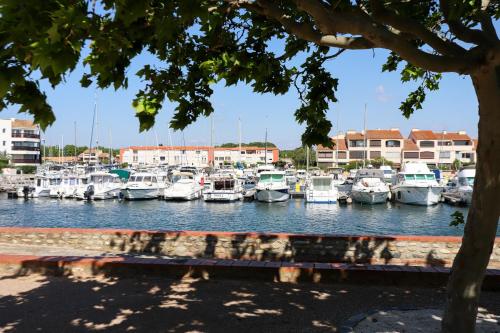 St cyprien superbe appart 4 pers vue sur la marina - Location saisonnière - Saint-Cyprien