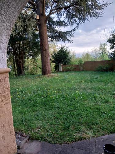 Taman, Ferienwohnung mit Garten ab 3 Nächte (Ferienwohnung mit Garten ab 3 Nachte) in Tettnang