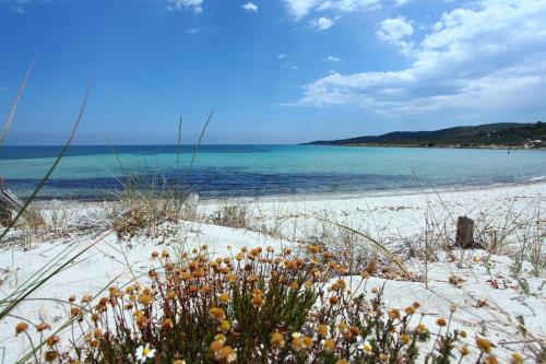 Maestrale Flat - Klodge, Olbia (Foto 2)