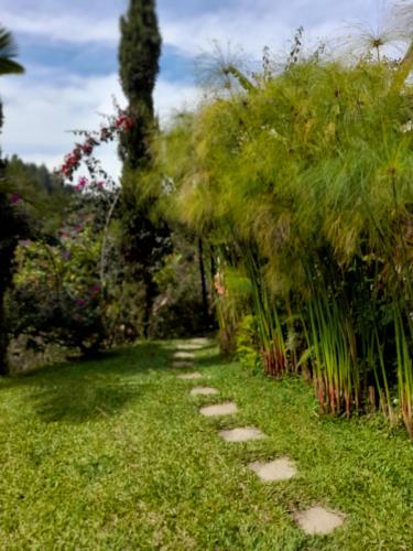 Finca Doña Eloísa