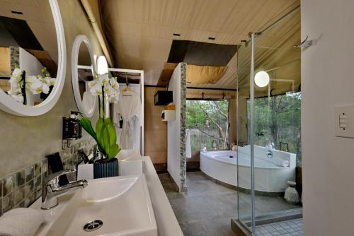 Safari Plains Room Type - Safari Tent with 2 Game Drives in private game reserve