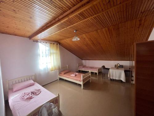 Bunk Bed in Mixed Dormitory Room image 3