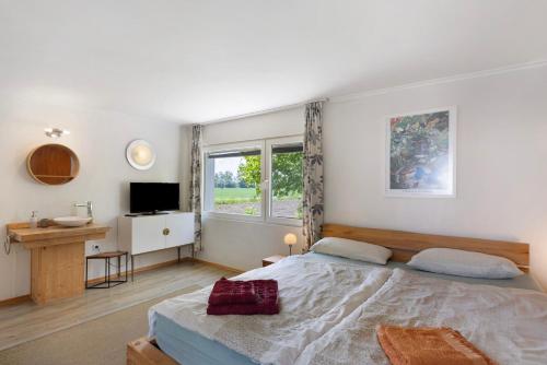 Superior One-Bedroom Apartment