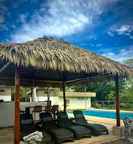 Finca Dontricia Official in Canas Dulces