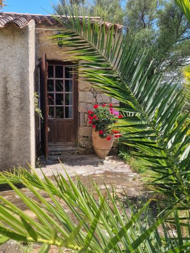 U Cipressu, La Celle-sous-Gouzon