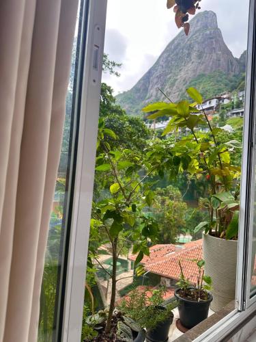 Surrounding environment, Brisa do Mar in Vidigal
