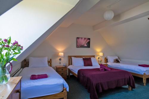 Charlie's Cottage with Alpacas and 7mins drive to Alton Towers in Croxden