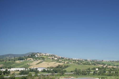 B&B Hill Ranch in Osimo