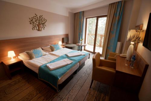 Hotel EUROPA - Górnicza Strzecha, Szklarska Poręba (foto 3)