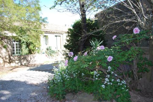 maison des Géraniums (maison des Geraniums) in Trausse