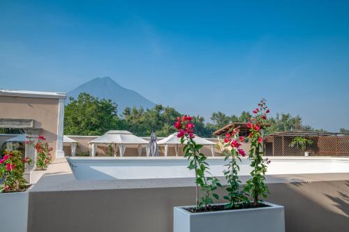 Hotel Casa Carmina by AHS - image 5