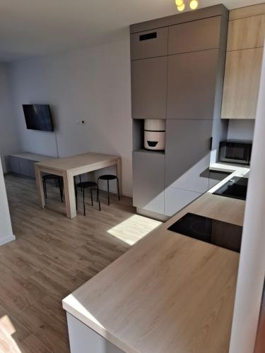 Apartament w Pszczewie nad jeziorem Duży Szarcz