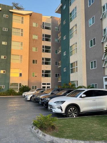 Apt Near Devon - Kingston- POOL- B306 FIWI, Kingston (foto 11)