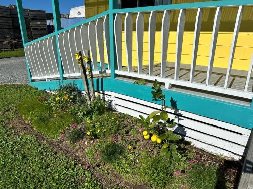 Kert, Sunflower Cottage in Dargaville