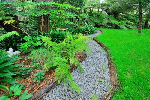 Garden Retreat - a 3 bedroom Home, Auckland (zdjęcie 9)