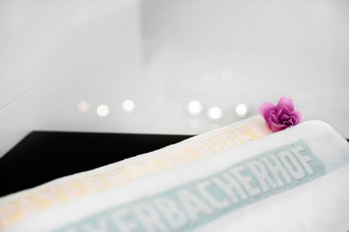 Hotel Payerbacherhof - image 11