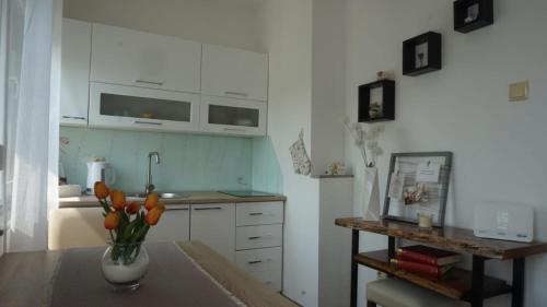 Studio Apartman Pega in Slunj