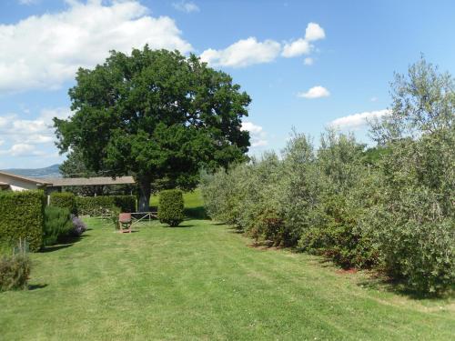 Agriturismo il Giardino