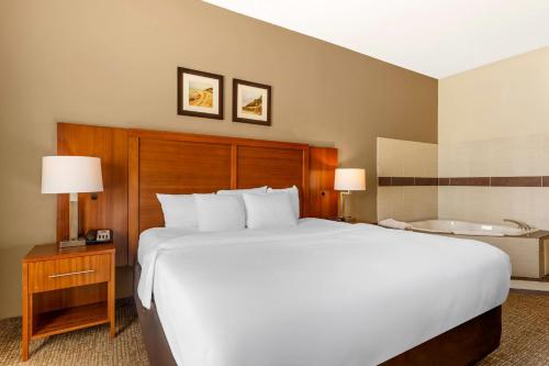 Comfort Inn & Suites Porter near Indiana Dunes in Porter, USA