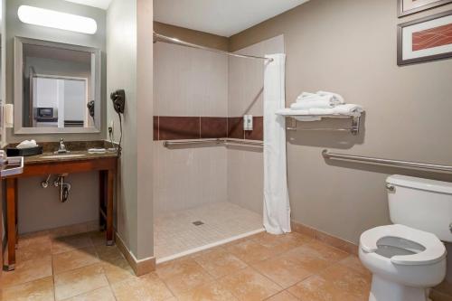 Comfort Inn & Suites Porter near Indiana Dunes in Porter, USA