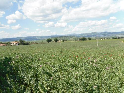 Agriturismo il Giardino