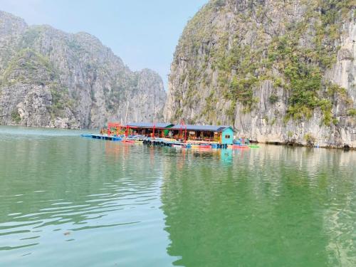 Eco Floating Stay Cai Beo in Ben Beo