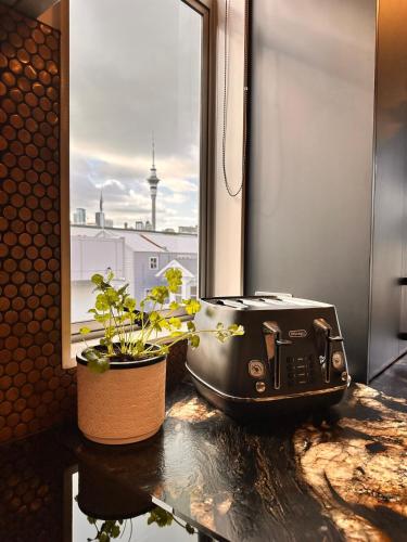 Stylish Freemans Bay Stay, Auckland (photo 9)