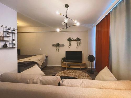 Apartment in the middle of the city and free parking spot