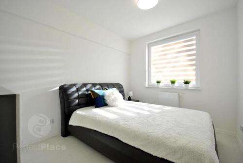 Quiet and well-laid-out apartment near the center, Breslau (Foto 5)