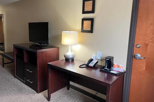 Comfort Inn and Suites Manheim - image 13