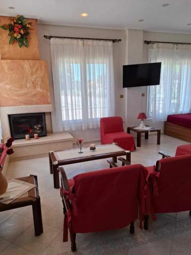 Panorama Villa in Koumeika