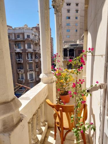 Arab Boutique I Alexandria I Downtown in Alexandria