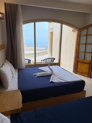 Zain Dive Inn in Dahab