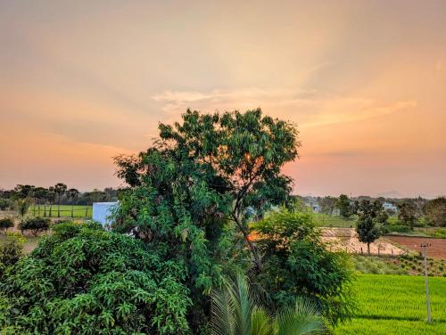 Yellowra Farmstay Tiruvannamalai - image 3